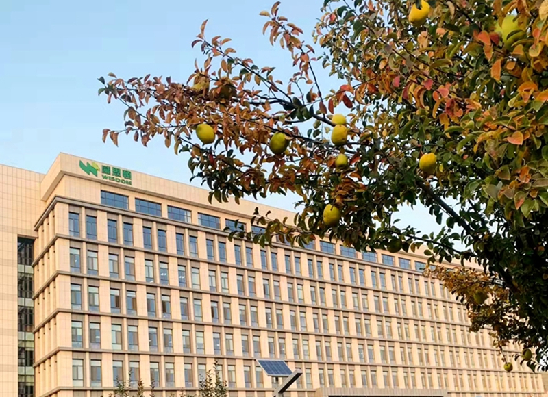 新利体育·luck18(中国)首页登录