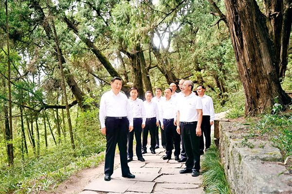 新利体育·luck18(中国)首页登录